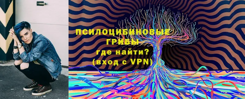 наркошоп  Белово  Галлюциногенные грибы Psilocybe 